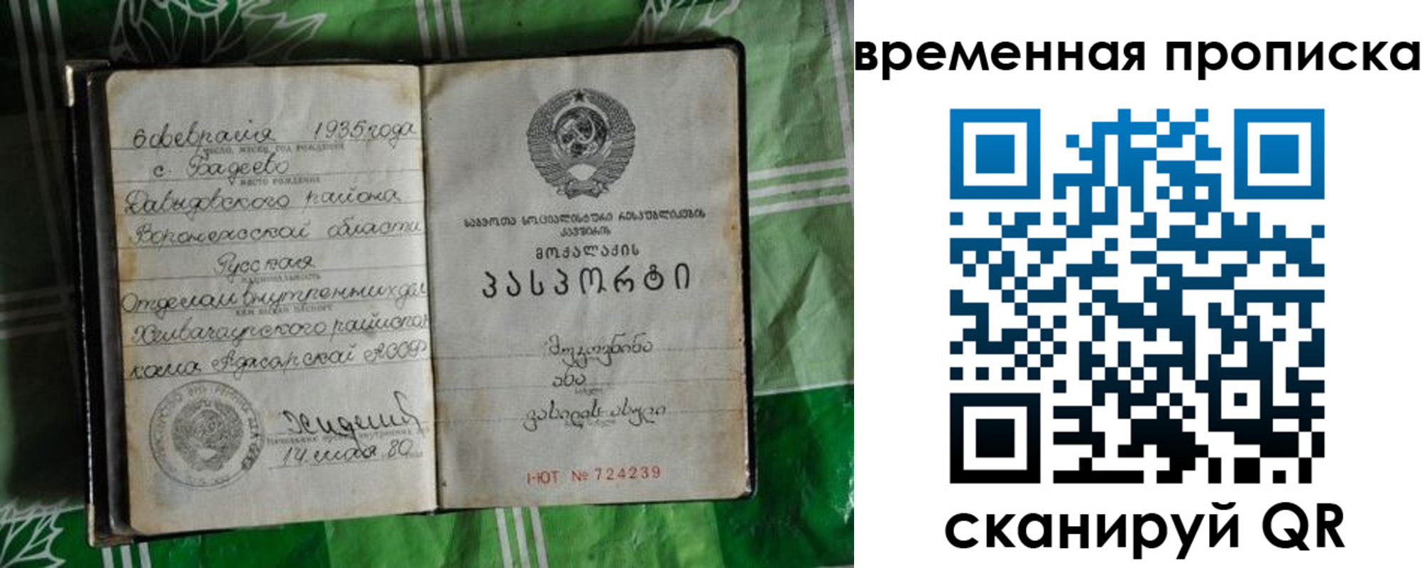 прописка в Гаджиево